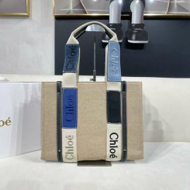 Picture of Chloe Lady Handbags _SKUfw143584421fw